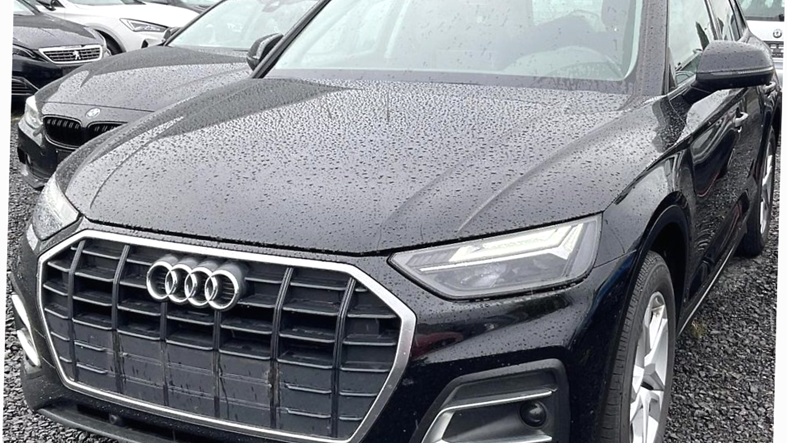 Audi Q5 2021